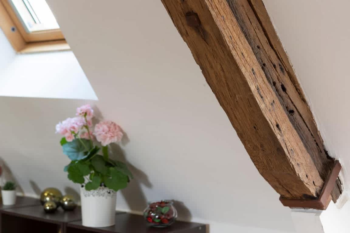 Apartment Le Ruellan Duplex Proche Saint-Malo